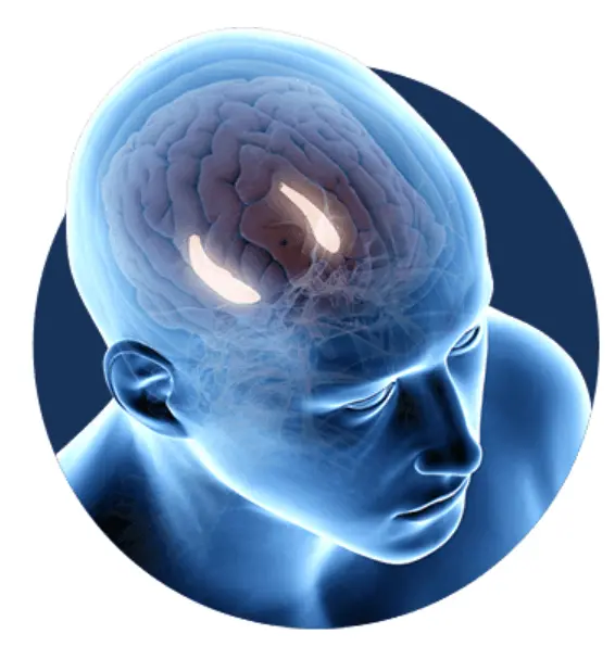 Billionaire Brain Wave 